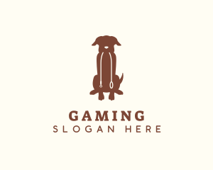 Vet - Sitting Pet Dog logo design