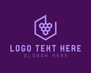 Digital Marketing - Geometric Hexagon Grape logo design