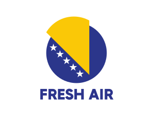 Bosnia & Herzegovina Flag logo design