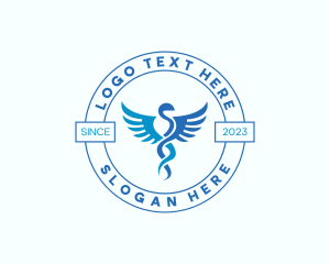 Caduceus Medical Hospital Logo