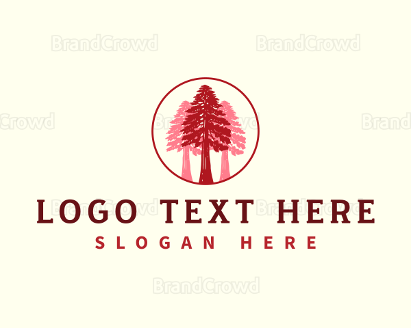 Giant Sequoia Tree Logo