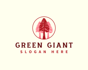 Giant Sequoia Tree logo design