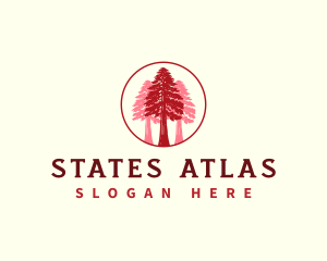 Giant Sequoia Tree logo design