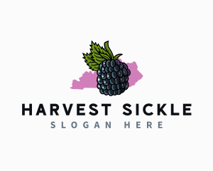 Kentucky Fruit Blackberry logo design