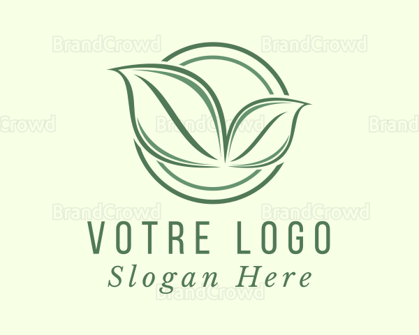 Eco Friendly Herbal Leaf Logo