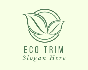 Eco Friendly Herbal Leaf  logo design