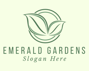 Eco Friendly Herbal Leaf  logo design