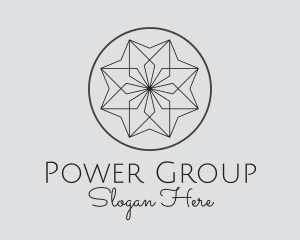 Flower Symmetrical Star  Logo