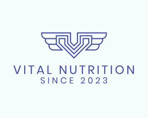 Wings Aviation Letter V  logo design