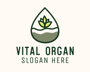 Organic Plant Oil logo design