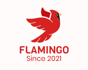 Bird Watching - Flying Red Cardinal Bird logo design