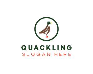 Duck Poultry Animal logo design