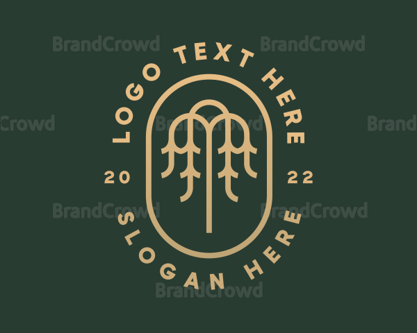 Gold Willow Tree Logo