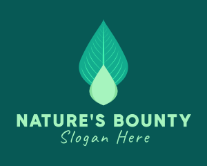 Natural Leaf Droplet logo design