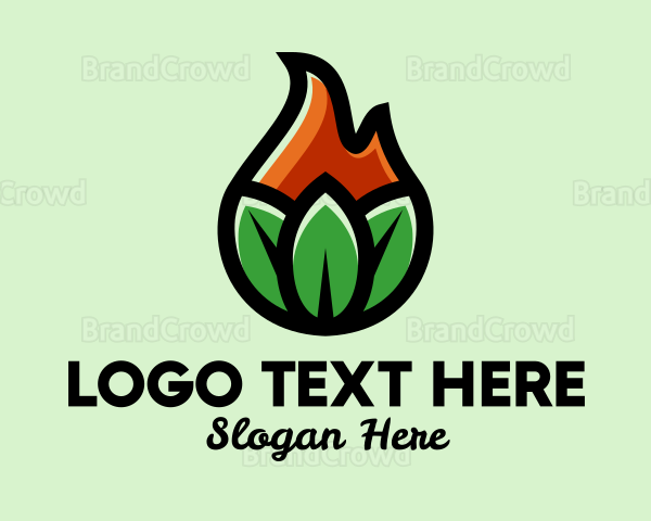 Nature Leaf Flame Logo