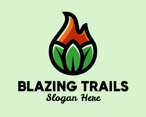 Nature Leaf Flame logo design