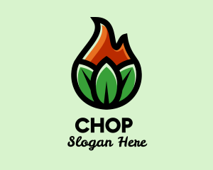 Agriculture - Nature Leaf Flame logo design