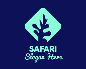 Marine - Sea Coral Aquarium logo design