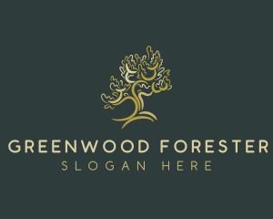 Forest Nature Tree logo design