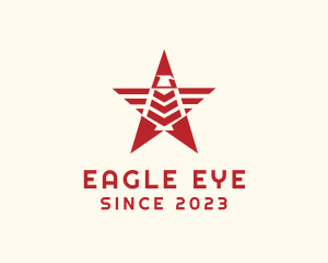 Eagle Star Team logo design