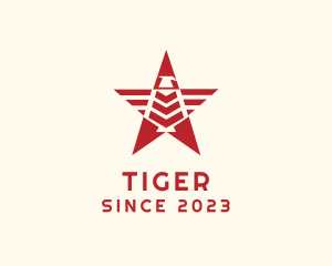 Hawk - Eagle Star Team logo design