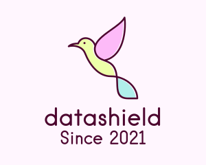 Passerine - Pastel Hummingbird Outline logo design