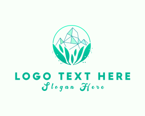 Natural Crystal Stone Logo