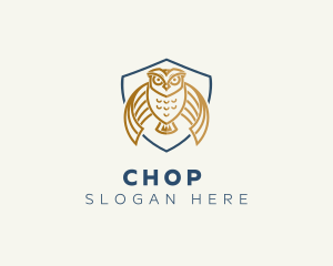 Education - Owl Shield Crest logo design