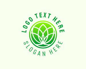 Lotus Spa Wellness  Logo
