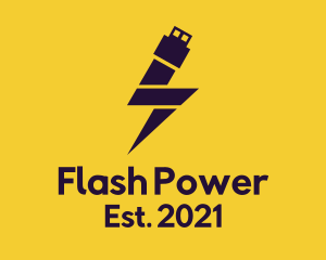 Electric Flash Drive logo design