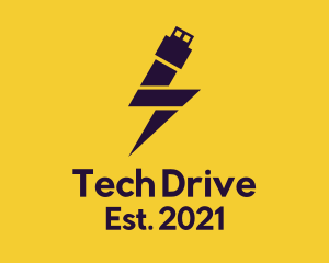 Electric Flash Drive logo design