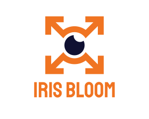 Iris - Eye Arrows Visual logo design