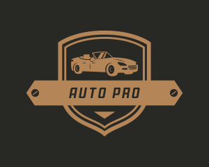 Car Auto Shield logo design