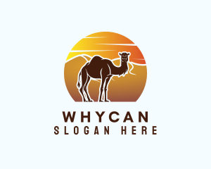 Sun Desert Camel Logo