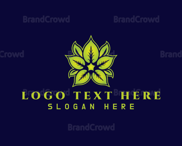 Leaf Herb Plant Logo