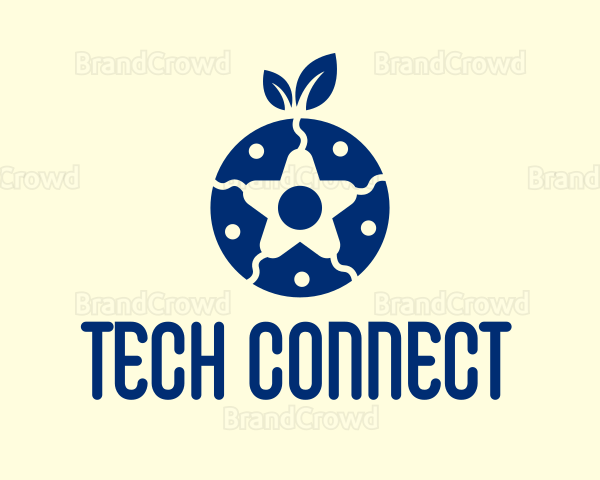 Organic Blueberry Star Logo