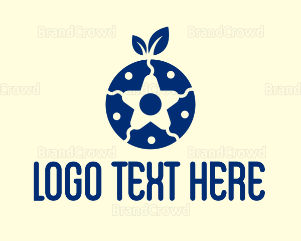 Organic Blueberry Star Logo