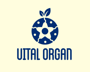 Organic Blueberry Star  logo design