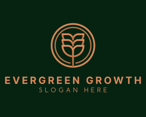 Eco Plant Leaves logo design