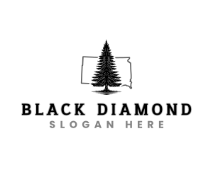 South Dakota Black Hills Spruce logo design