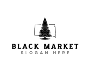 South Dakota Black Hills Spruce logo design