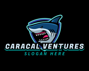 Shark Team Mascot logo design