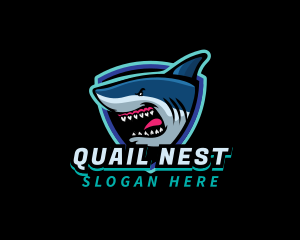 Shark Team Mascot logo design