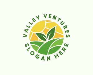 Agricultural Valley Field logo design