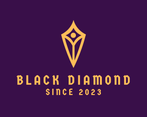 Diamond Shield Company logo design