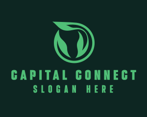 Eco Natural Leaf  logo design