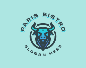 Bull Rodeo Ranch logo design