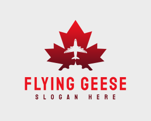 Flying Airplane Canada logo design