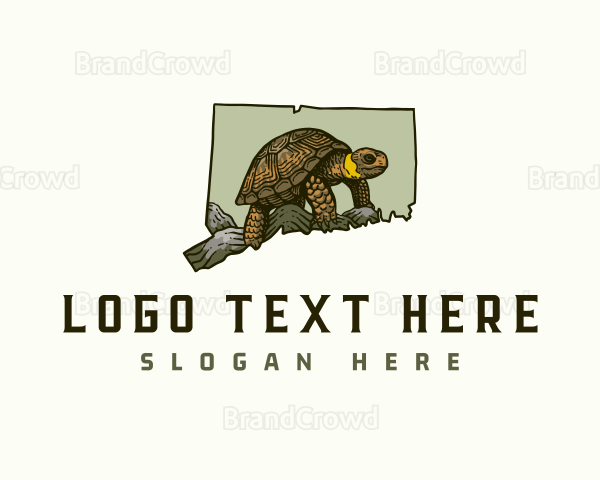 Connecticut Bog Turtle Logo