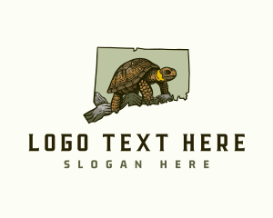 Map - Connecticut Bog Turtle logo design